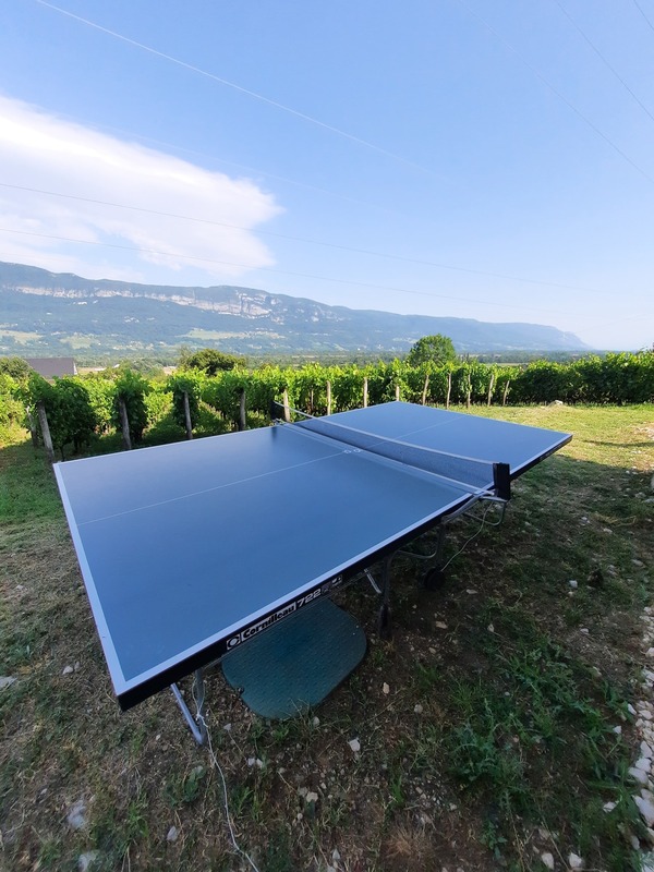 ping-pong dans les vignes du Bugey